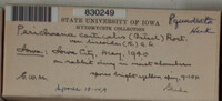 Image Associated With the Occurence